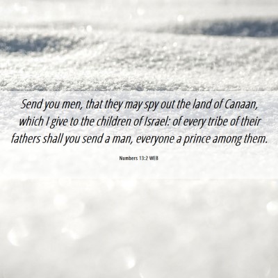 Picture 06 - Numbers 13:2 WEB - Send you men, that they may spy out the land of - Bible Verse Picture