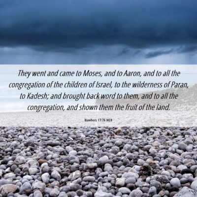 Picture 06 - Numbers 13:26 WEB - They went and came to Moses, and to Aaron, and to - Bible Verse Picture