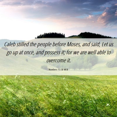 Picture 06 - Numbers 13:30 WEB - Caleb stilled the people before Moses, and said, - Bible Verse Picture