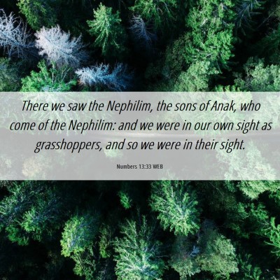 Picture 06 - Numbers 13:33 WEB - There we saw the Nephilim, the sons of Anak, who - Bible Verse Picture