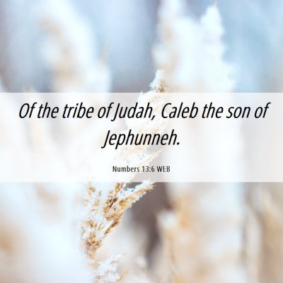 Picture 06 - Numbers 13:6 WEB - Of the tribe of Judah, Caleb the son of - Bible Verse Picture