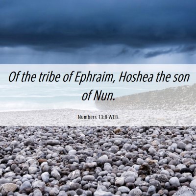 Picture 06 - Numbers 13:8 WEB - Of the tribe of Ephraim, Hoshea the son of - Bible Verse Picture