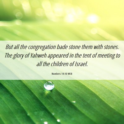 Picture 06 - Numbers 14:10 WEB - But all the congregation bade stone them with - Bible Verse Picture