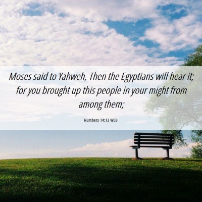 Picture 06 - Numbers 14:13 WEB - Moses said to Yahweh, Then the Egyptians will - Bible Verse Picture