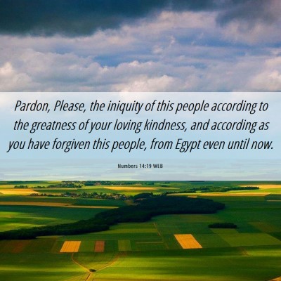 Picture 06 - Numbers 14:19 WEB - Pardon, Please, the iniquity of this people - Bible Verse Picture