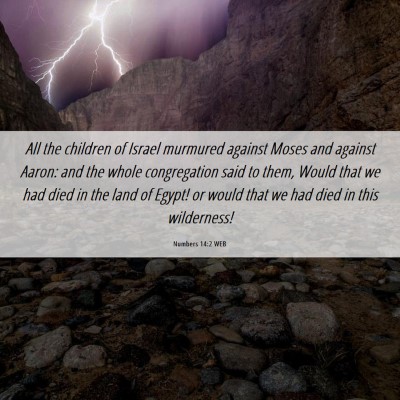 Picture 06 - Numbers 14:2 WEB - All the children of Israel murmured against Moses - Bible Verse Picture