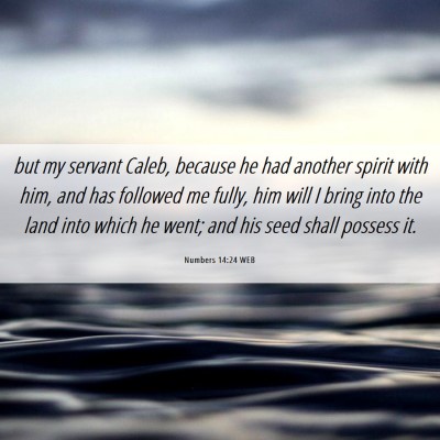 Picture 06 - Numbers 14:24 WEB - but my servant Caleb, because he had another - Bible Verse Picture