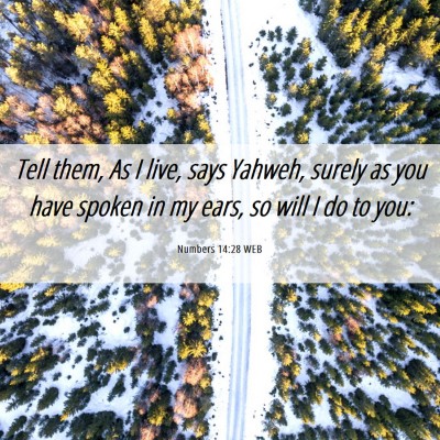 Picture 06 - Numbers 14:28 WEB - Tell them, As I live, says Yahweh, surely as you - Bible Verse Picture