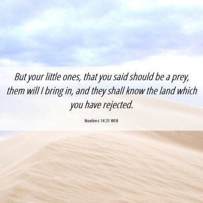 Picture 06 - Numbers 14:31 WEB - But your little ones, that you said should be a - Bible Verse Picture