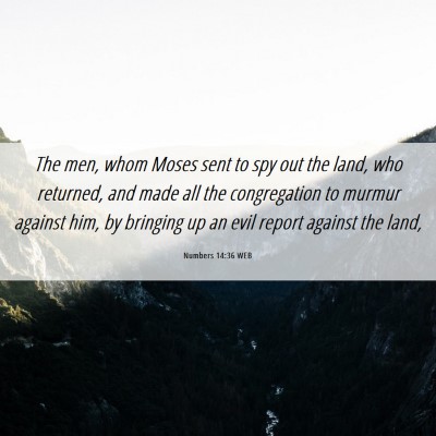 Picture 06 - Numbers 14:36 WEB - The men, whom Moses sent to spy out the land, who - Bible Verse Picture