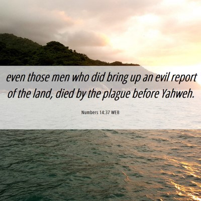 Picture 06 - Numbers 14:37 WEB - even those men who did bring up an evil report of - Bible Verse Picture