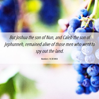 Picture 06 - Numbers 14:38 WEB - But Joshua the son of Nun, and Caleb the son of - Bible Verse Picture