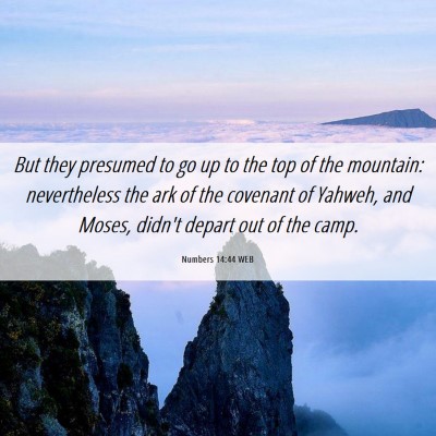 Picture 06 - Numbers 14:44 WEB - But they presumed to go up to the top of the - Bible Verse Picture