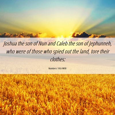 Picture 06 - Numbers 14:6 WEB - Joshua the son of Nun and Caleb the son of - Bible Verse Picture