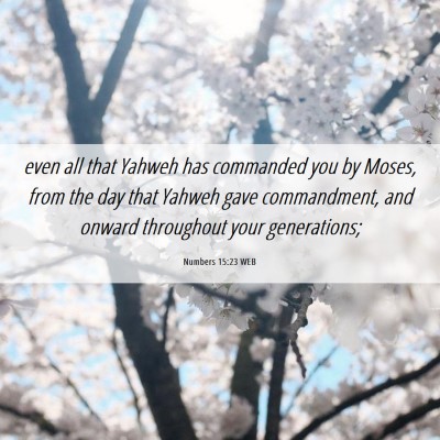 Picture 06 - Numbers 15:23 WEB - even all that Yahweh has commanded you by Moses, - Bible Verse Picture