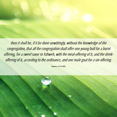 Picture 06 - Numbers 15:24 WEB - then it shall be, if it be done unwittingly, - Bible Verse Picture