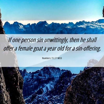 Picture 06 - Numbers 15:27 WEB - If one person sin unwittingly, then he shall - Bible Verse Picture
