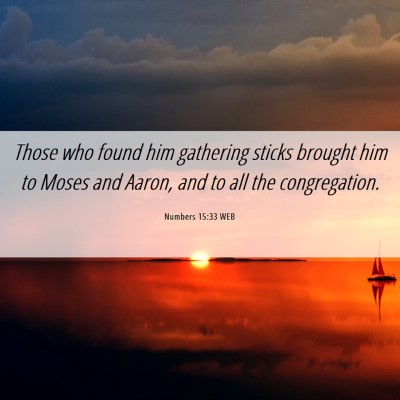 Picture 06 - Numbers 15:33 WEB - Those who found him gathering sticks brought him - Bible Verse Picture