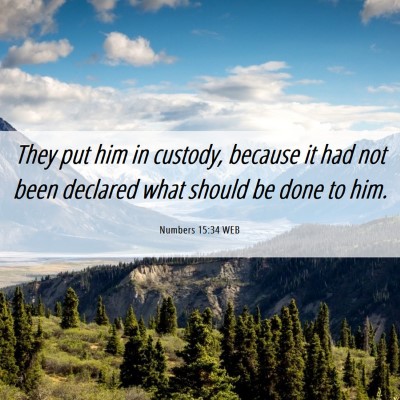 Picture 06 - Numbers 15:34 WEB - They put him in custody, because it had not been - Bible Verse Picture