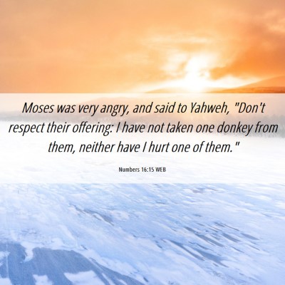 Picture 06 - Numbers 16:15 WEB - Moses was very angry, and said to Yahweh, 