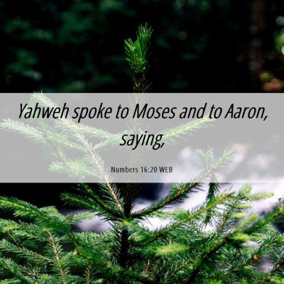 Picture 06 - Numbers 16:20 WEB - Yahweh spoke to Moses and to Aaron, - Bible Verse Picture