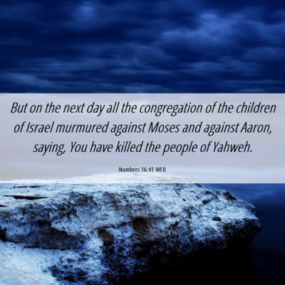 Picture 06 - Numbers 16:41 WEB - But on the next day all the congregation of the - Bible Verse Picture