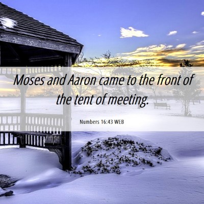 Picture 06 - Numbers 16:43 WEB - Moses and Aaron came to the front of the tent of - Bible Verse Picture
