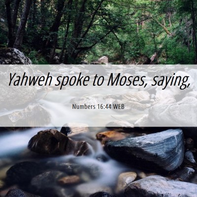 Picture 06 - Numbers 16:44 WEB - Yahweh spoke to Moses, - Bible Verse Picture