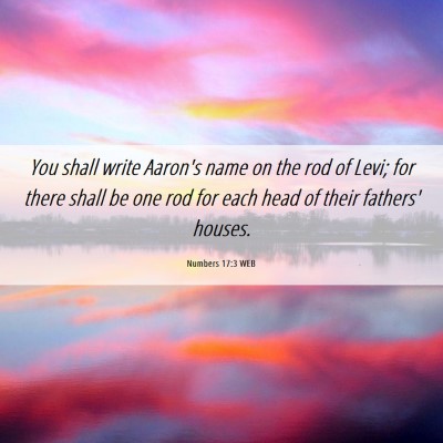 Picture 06 - Numbers 17:3 WEB - You shall write Aaron's name on the rod of Levi; - Bible Verse Picture