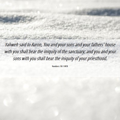 Picture 06 - Numbers 18:1 WEB - Yahweh said to Aaron, You and your sons and your - Bible Verse Picture