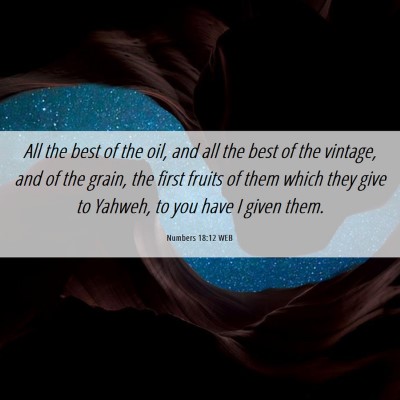 Picture 06 - Numbers 18:12 WEB - All the best of the oil, and all the best of the - Bible Verse Picture