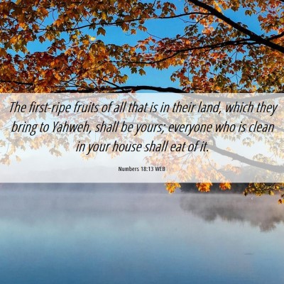 Picture 06 - Numbers 18:13 WEB - The first-ripe fruits of all that is in their - Bible Verse Picture