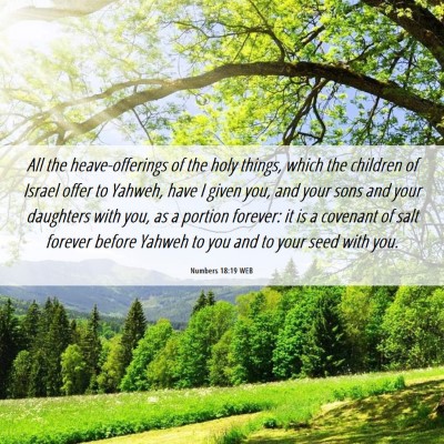 Picture 06 - Numbers 18:19 WEB - All the heave-offerings of the holy things, which - Bible Verse Picture