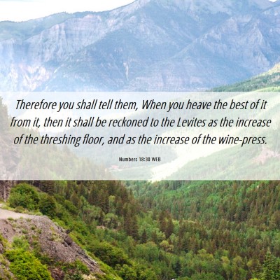 Picture 06 - Numbers 18:30 WEB - Therefore you shall tell them, When you heave the - Bible Verse Picture