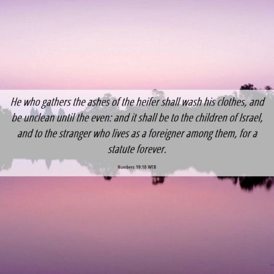 Picture 06 - Numbers 19:10 WEB - He who gathers the ashes of the heifer shall wash - Bible Verse Picture