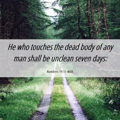 Picture 06 - Numbers 19:11 WEB - He who touches the dead body of any man shall be - Bible Verse Picture