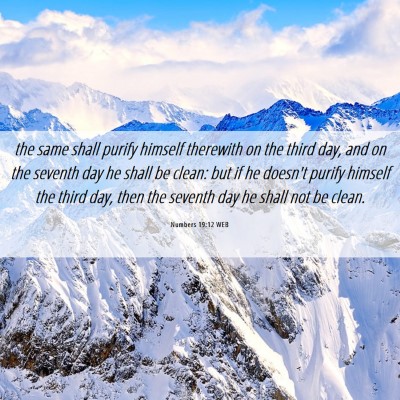Picture 06 - Numbers 19:12 WEB - the same shall purify himself therewith on the - Bible Verse Picture
