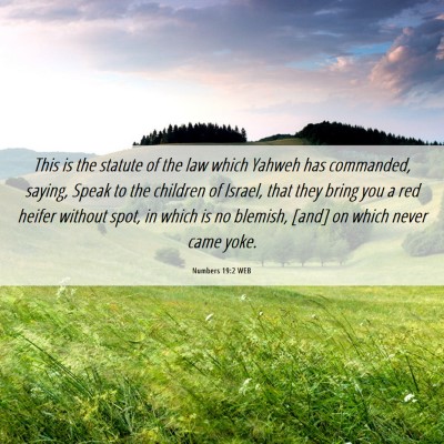 Picture 06 - Numbers 19:2 WEB - This is the statute of the law which Yahweh has - Bible Verse Picture