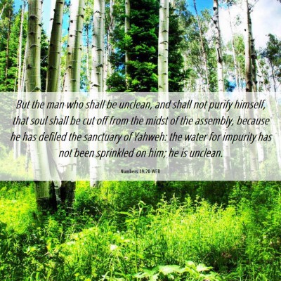 Picture 06 - Numbers 19:20 WEB - But the man who shall be unclean, and shall not - Bible Verse Picture