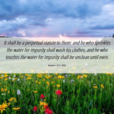 Picture 06 - Numbers 19:21 WEB - It shall be a perpetual statute to them: and he - Bible Verse Picture