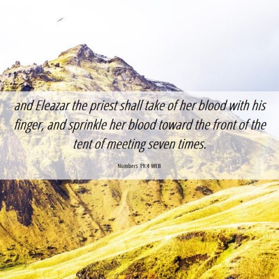 Picture 06 - Numbers 19:4 WEB - and Eleazar the priest shall take of her blood - Bible Verse Picture