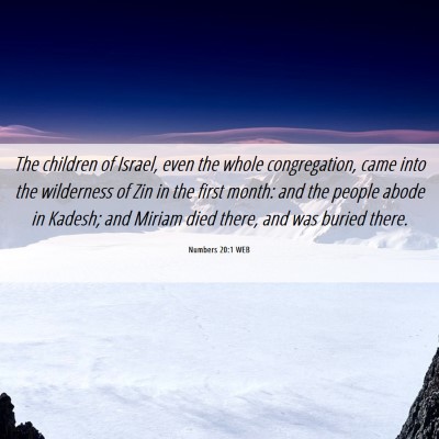 Picture 06 - Numbers 20:1 WEB - The children of Israel, even the whole - Bible Verse Picture