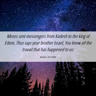 Picture 06 - Numbers 20:14 WEB - Moses sent messengers from Kadesh to the king of - Bible Verse Picture