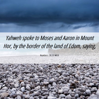 Picture 06 - Numbers 20:23 WEB - Yahweh spoke to Moses and Aaron in Mount Hor, by - Bible Verse Picture