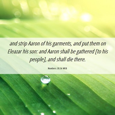 Picture 06 - Numbers 20:26 WEB - and strip Aaron of his garments, and put them on - Bible Verse Picture
