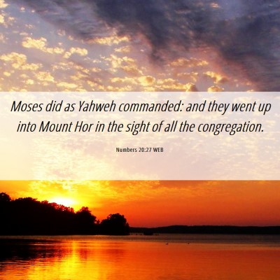 Picture 06 - Numbers 20:27 WEB - Moses did as Yahweh commanded: and they went up - Bible Verse Picture