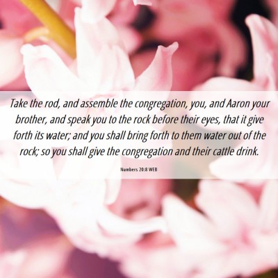 Picture 06 - Numbers 20:8 WEB - Take the rod, and assemble the congregation, you, - Bible Verse Picture