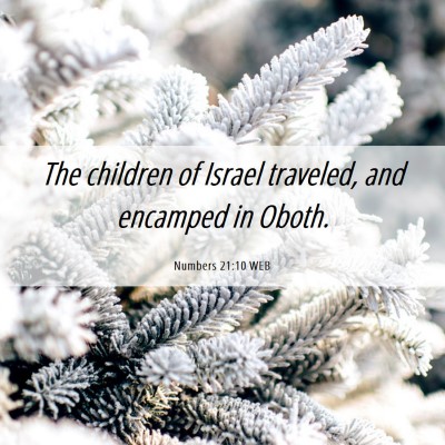 Picture 06 - Numbers 21:10 WEB - The children of Israel traveled, and encamped in - Bible Verse Picture