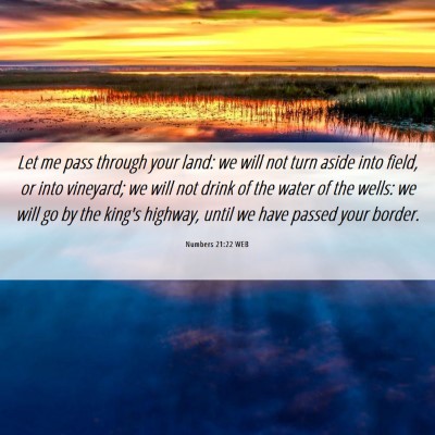 Picture 06 - Numbers 21:22 WEB - Let me pass through your land: we will not turn - Bible Verse Picture