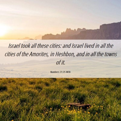 Picture 06 - Numbers 21:25 WEB - Israel took all these cities: and Israel lived in - Bible Verse Picture